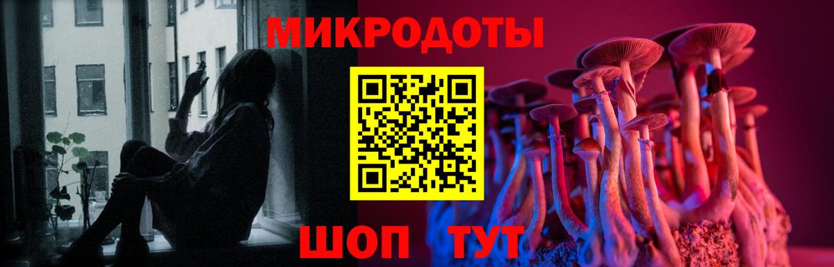 Псилоцибиновые грибы мицелий  Вход с VPN  Шелехов 